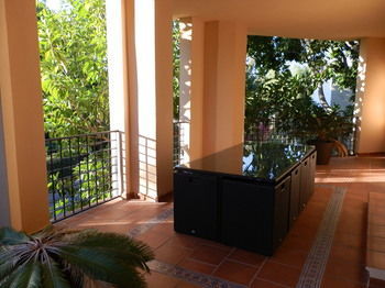 Mimosas Banus Apartment Marbella